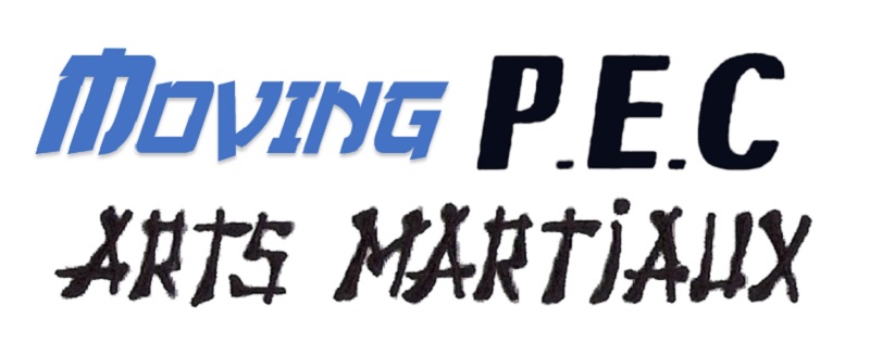 20180325 moving pec arts martiaux 1