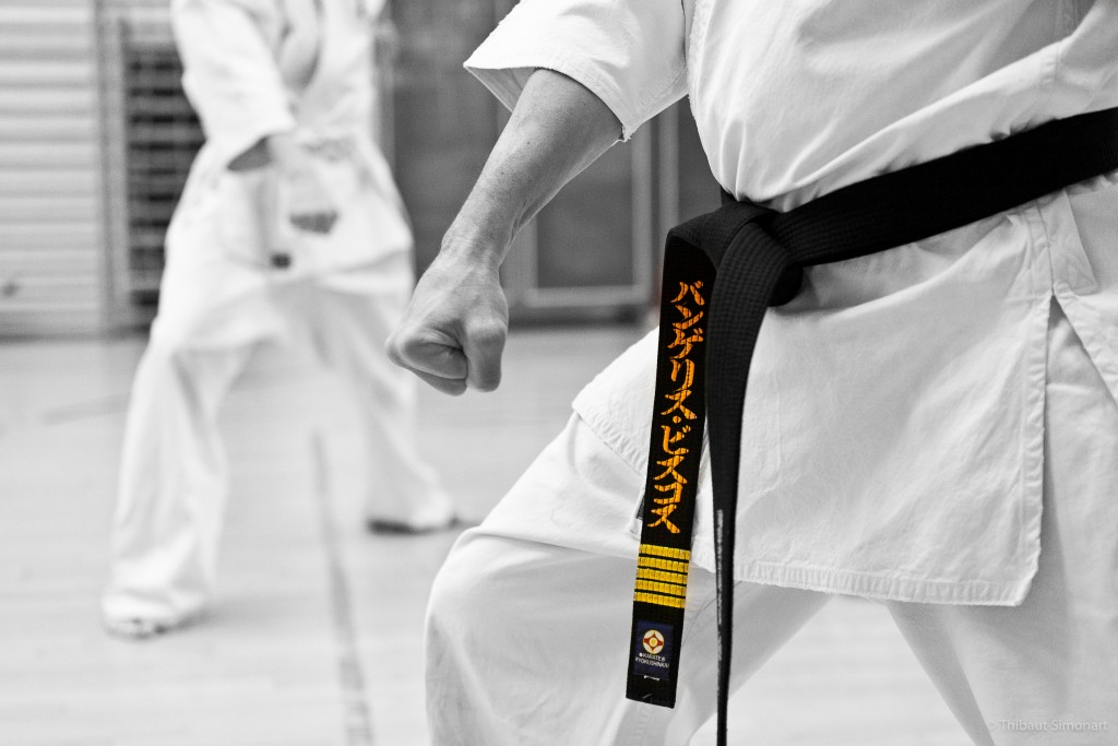 ""All martial artist are beginners; some of us have just been beginning longer." J.R. West"